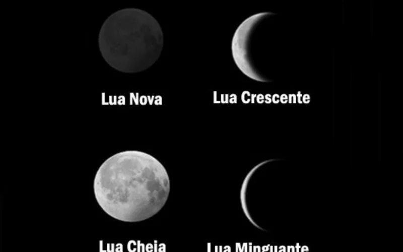 Imagem gerada com IA Imagem gerada com IA