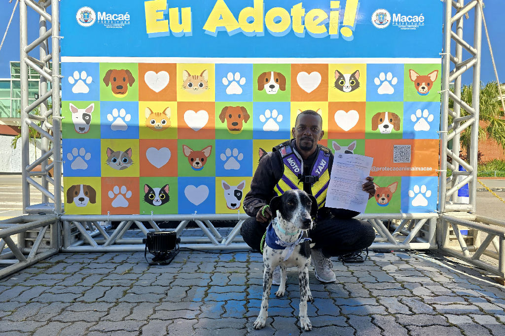 Macaé promove feira de adoção e conecta animais a novos lares responsáveis