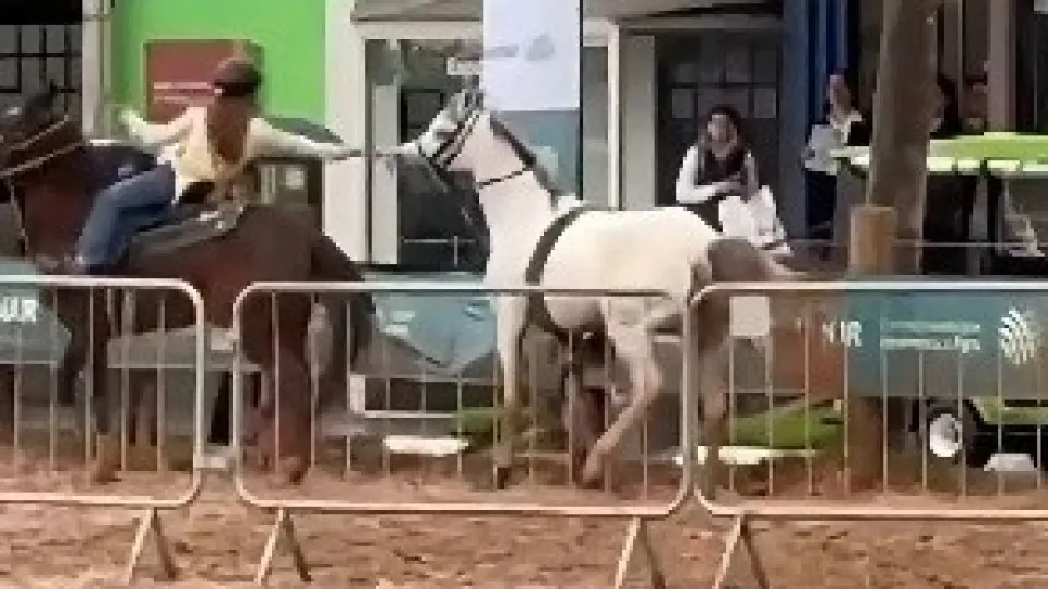 Jovem cavaleira de 12 anos domina cavalo à solta e evita pânico em feira gaúcha Jovem cavaleira de 12 anos domina cavalo à solta e evita pânico em feira gaúcha