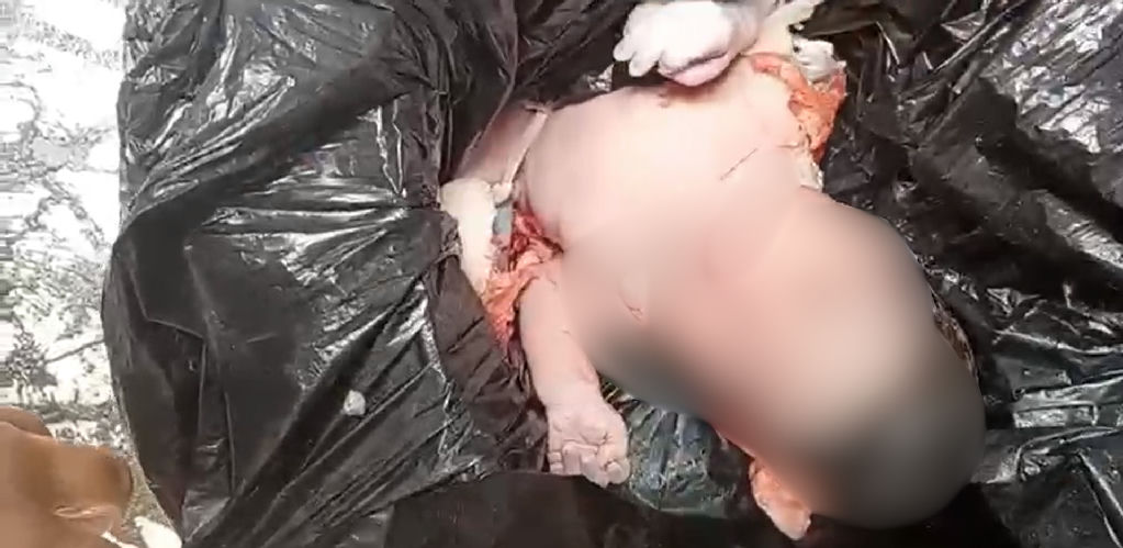 Bebê recém-nascida é resgatada em saco de lixo no bairro IAPI em Salvador