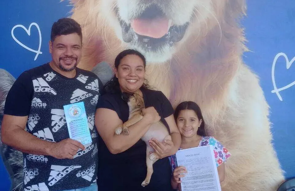 São Pedro da Aldeia abre portas para adoção de cães e gatos toda sexta-feira São Pedro da Aldeia abre portas para adoção de cães e gatos toda sexta-feira