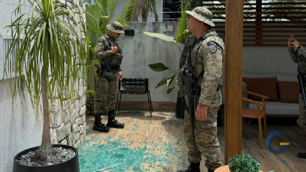 Macaco-prego causa pânico e fere moradores durante invasão a condomínio em Salvador