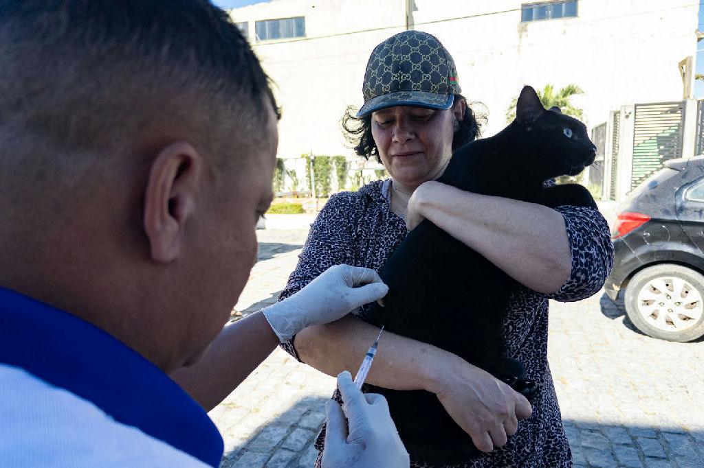 Macaé Conclui Campanha de Vacinação Antirrábica em Seis Bairros Macaé Conclui Campanha de Vacinação Antirrábica em Seis Bairros