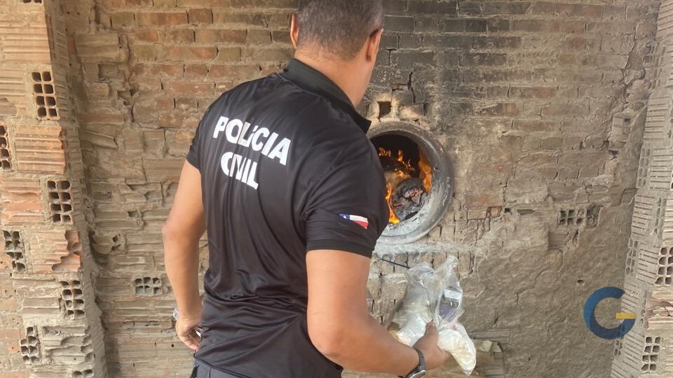 Polícia Civil e DPT incineram 12 kg de entorpecentes em Monte Santo Polícia Civil e DPT incineram 12 kg de entorpecentes em Monte Santo